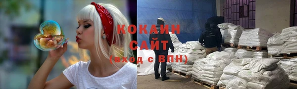 винт Арсеньев