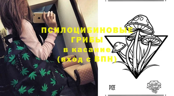 винт Арсеньев