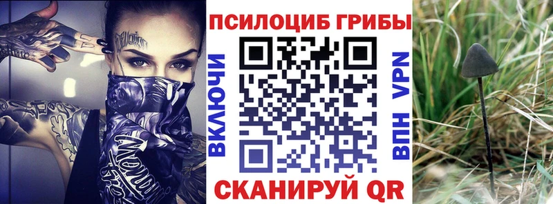 Галлюциногенные грибы мицелий  MEGA рабочий сайт  Ряжск 